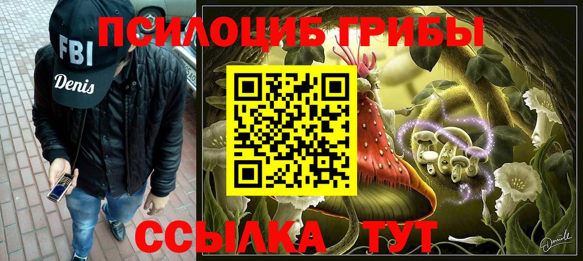 сколько стоит  Вход с VPN  Александров  Галлюциногенные грибы Magic Shrooms 