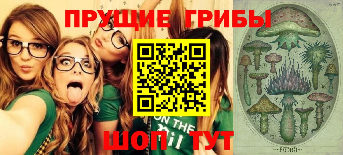 Псилоцибиновые грибы ЛСД Александров