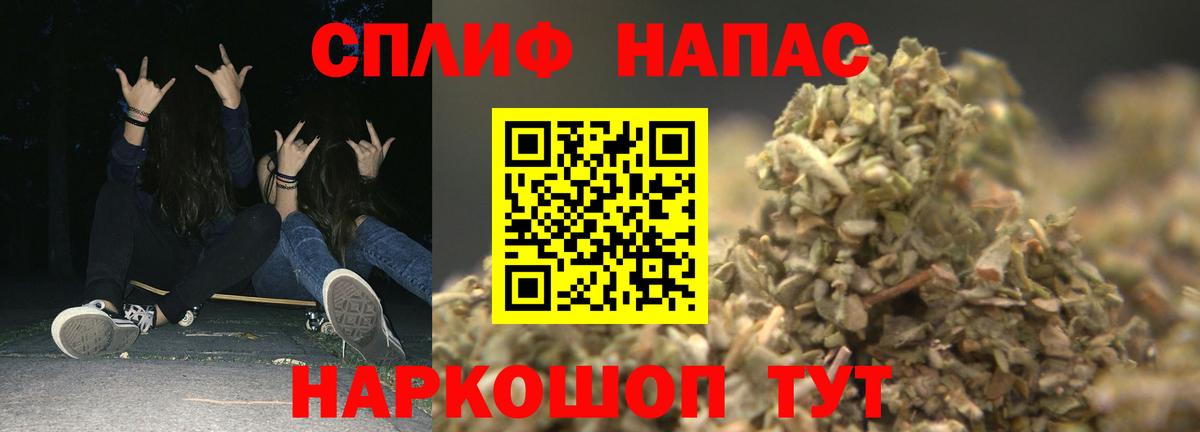 Бошки Шишки планчик Александров